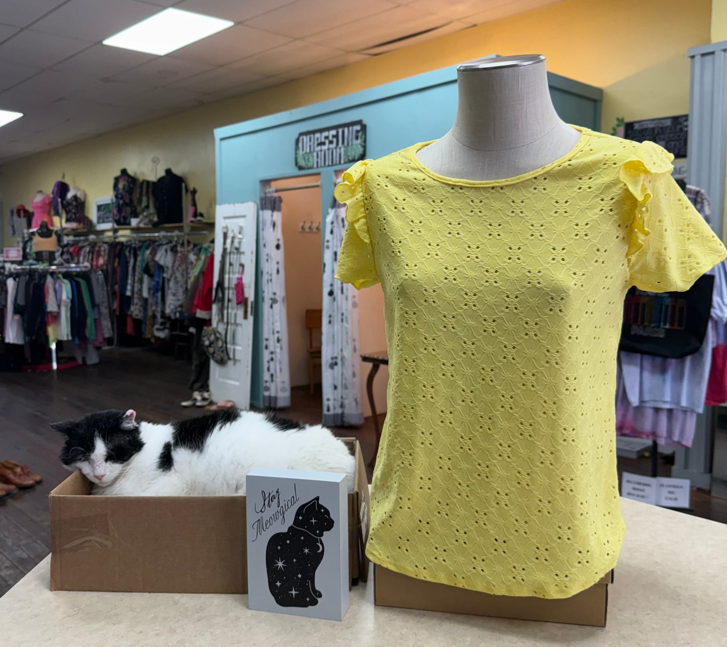 ava james yellow Tops, m
