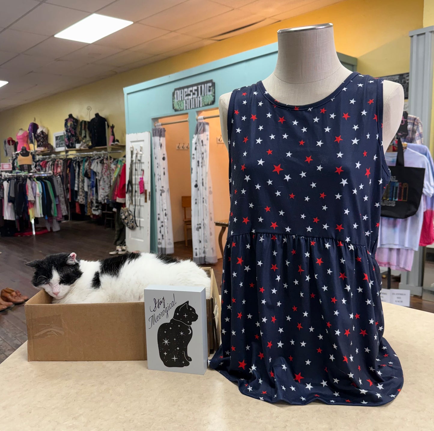 Michelle Mae Blue Tank Tops, M