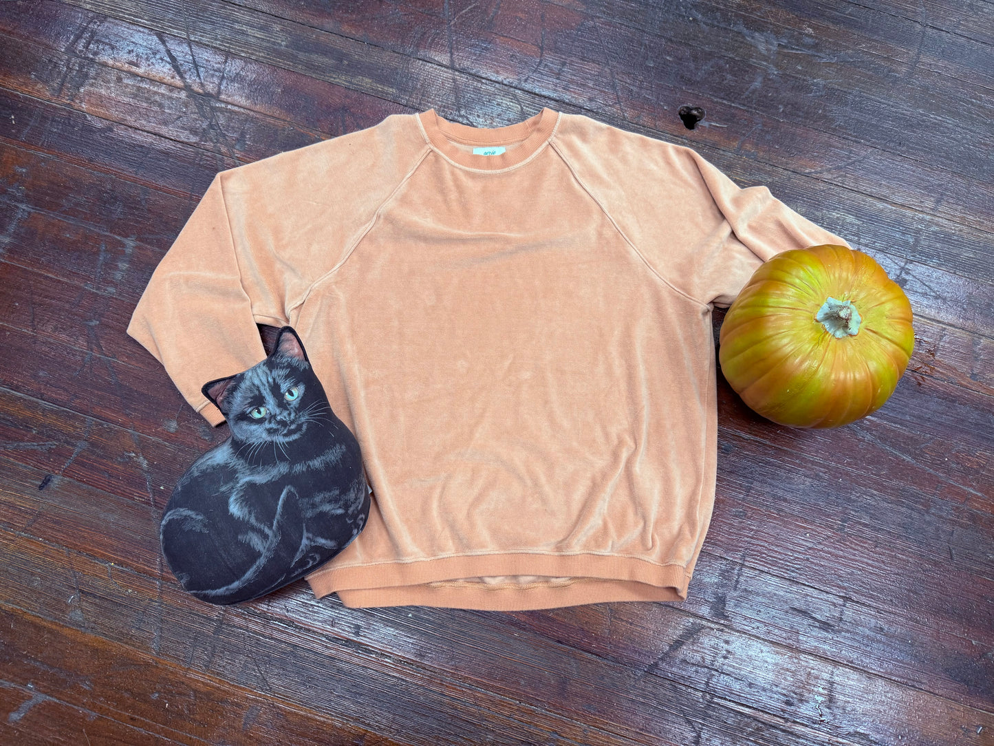 Aerie Tan Crewnecks, S