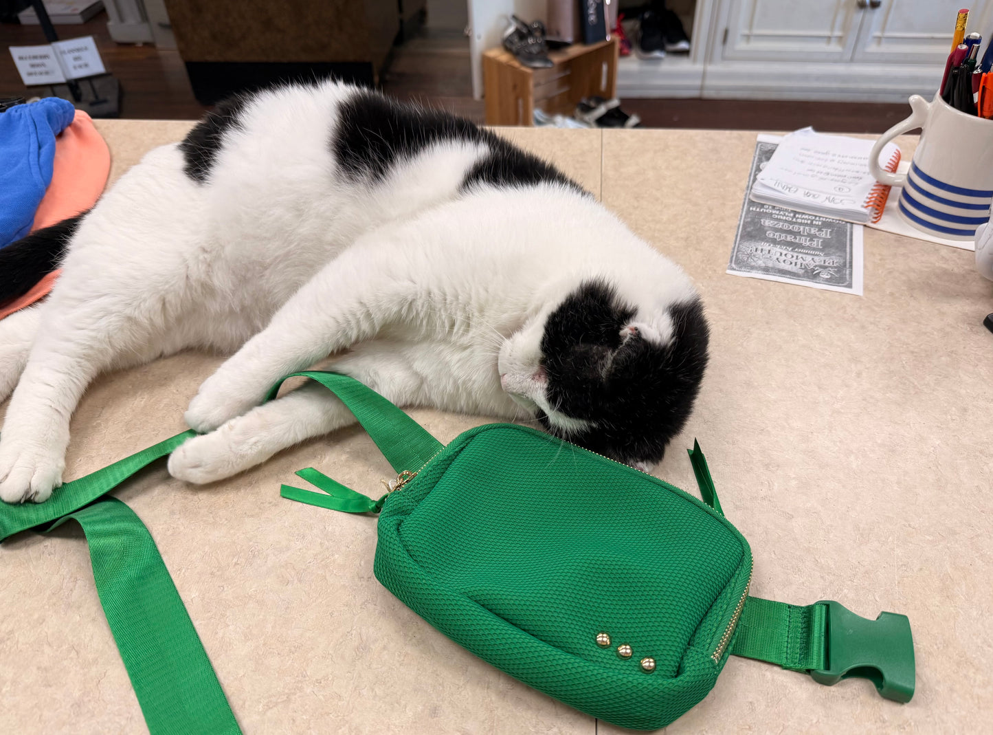 PS green belted bag, belted bag