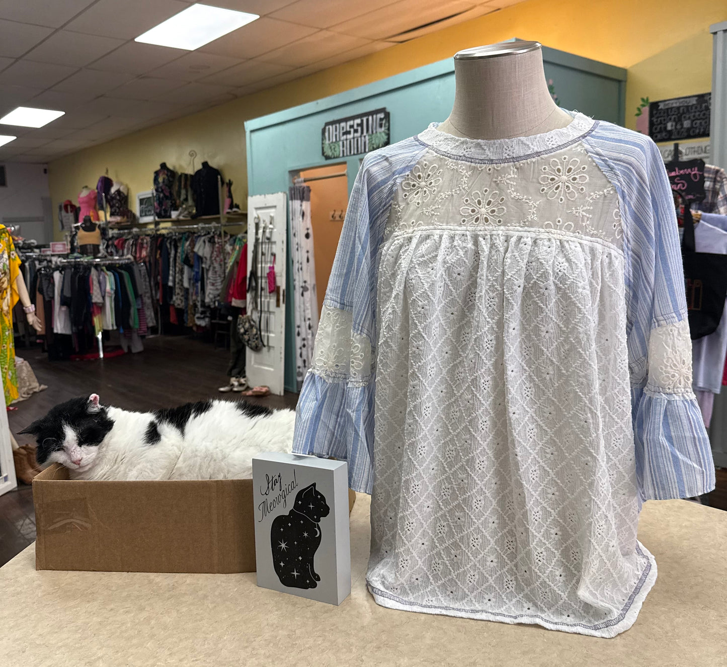 Fantastic Fawn Blue/White Tops, S