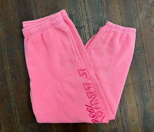 Victoria's Secret Pink Pink Pants, L